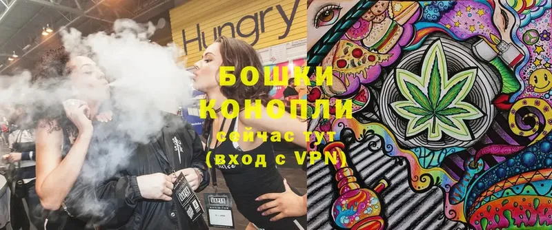 Каннабис OG Kush  Балабаново 